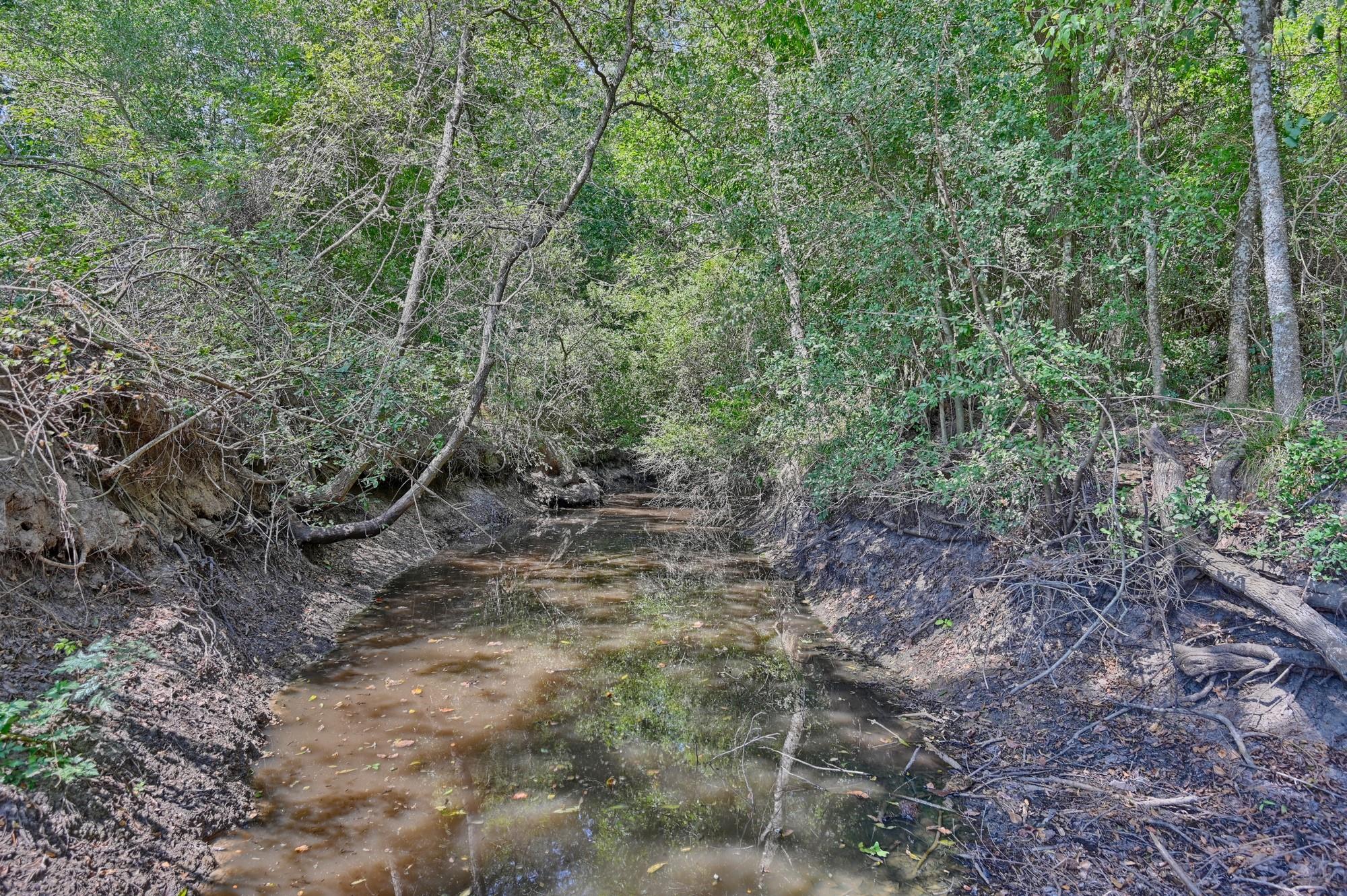 Tbd(+/- 237.91 Ac) Highway 36 S Caldwell TX 77836