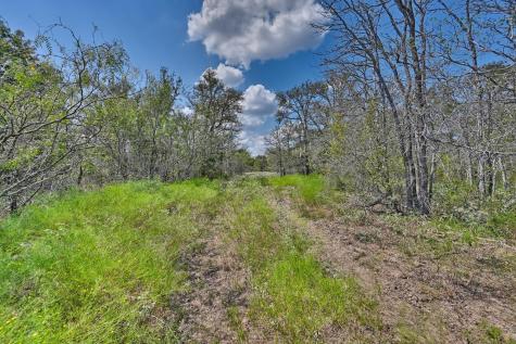 Tbd(+/- 237.91 Ac) Highway 36 S Caldwell TX 77836