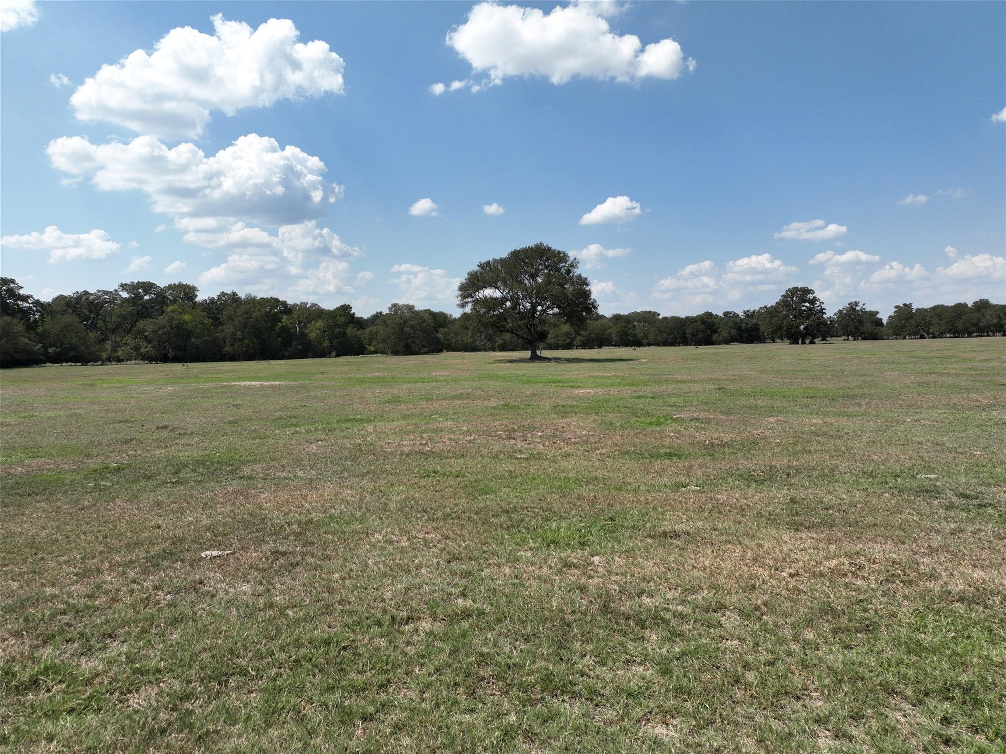 Tbd(+/- 237.91 Ac) Highway 36 S Caldwell TX 77836