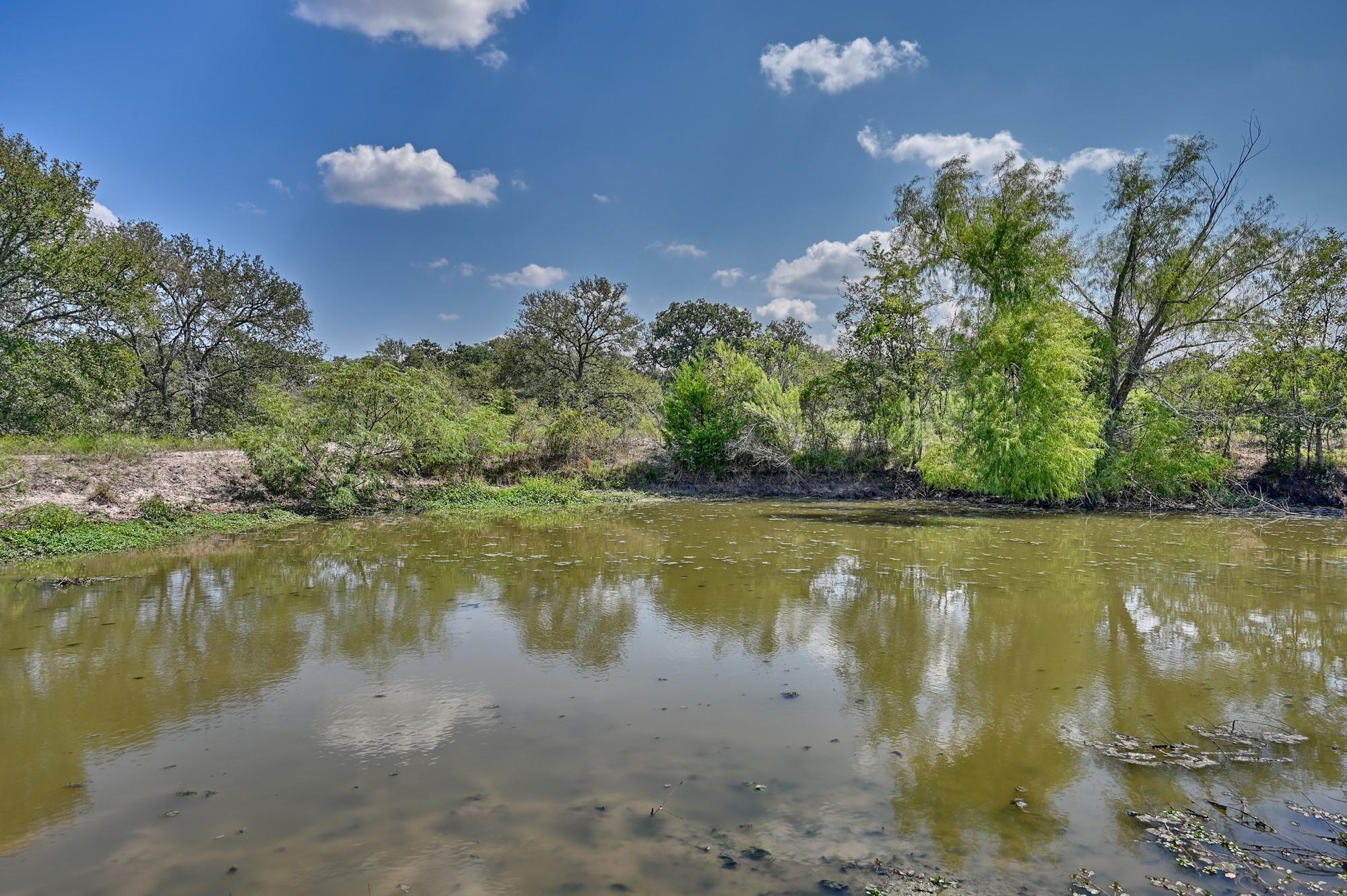 Tbd(+/- 237.91 Ac) Highway 36 S Caldwell TX 77836