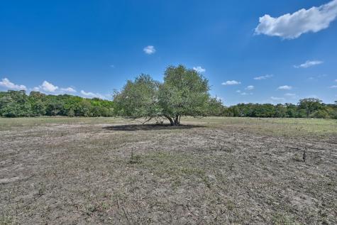 Tbd(+/- 237.91 Ac) Highway 36 S Caldwell TX 77836