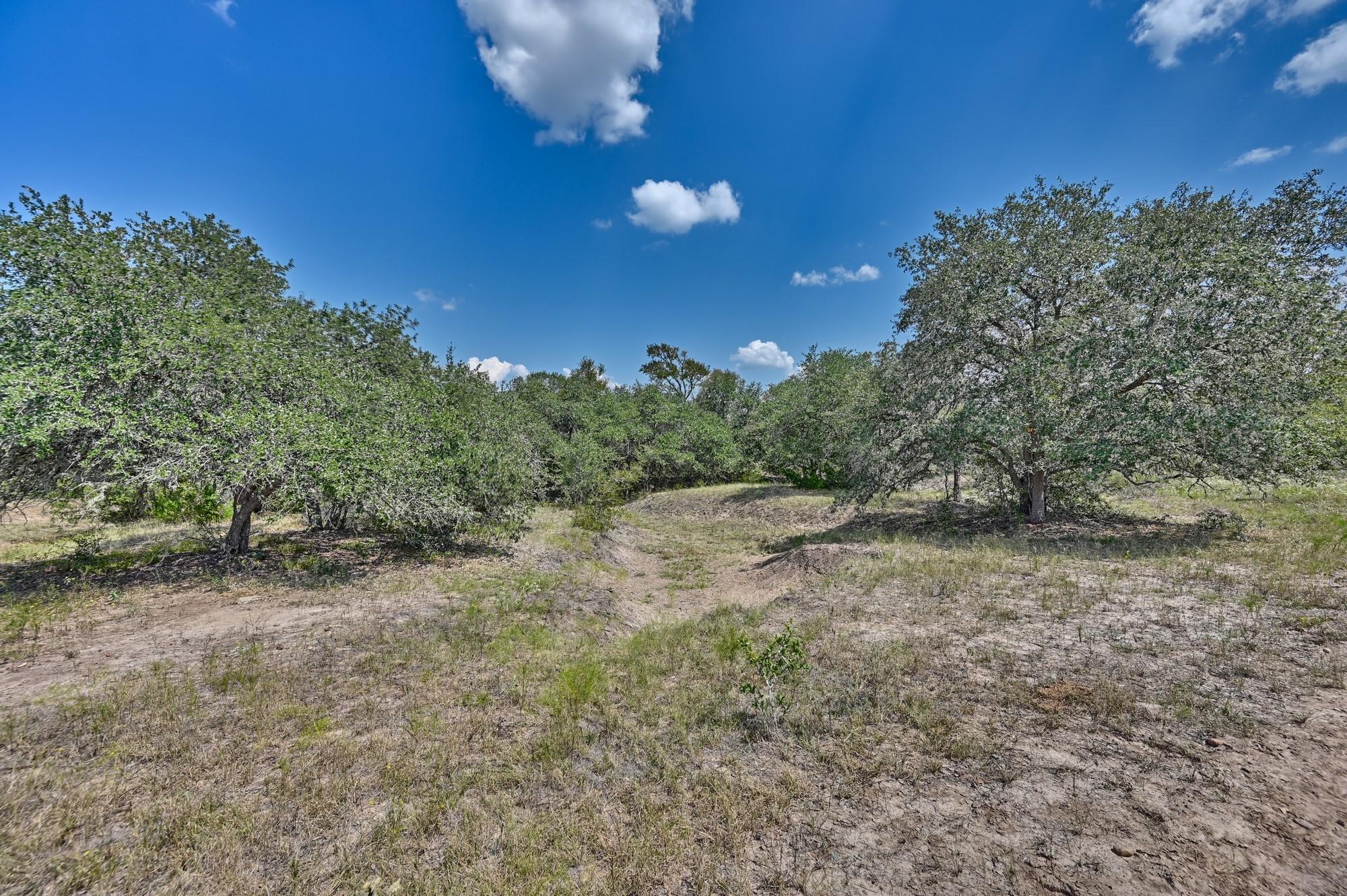 Tbd(+/- 237.91 Ac) Highway 36 S Caldwell TX 77836