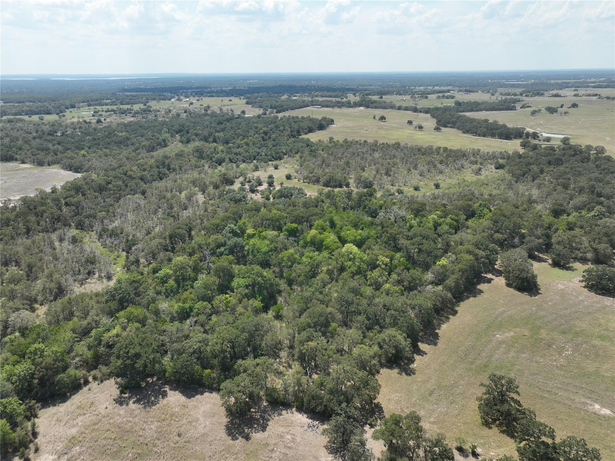 Tbd(+/- 237.91 Ac) Highway 36 S Caldwell TX 77836