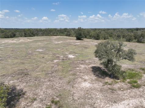 Tbd(+/- 237.91 Ac) Highway 36 S Caldwell TX 77836