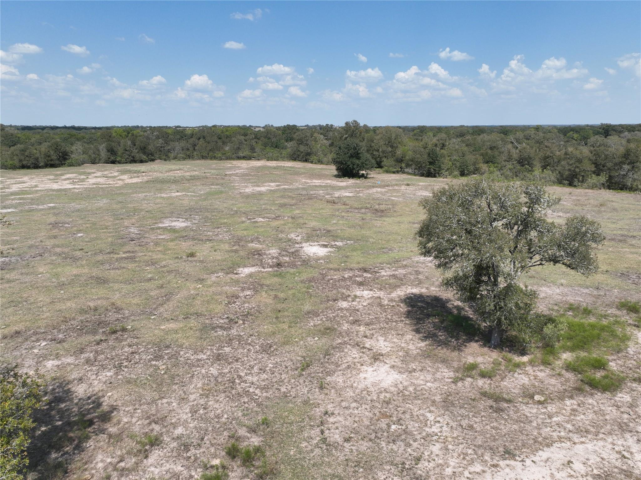 Tbd(+/- 237.91 Ac) Highway 36 S Caldwell TX 77836