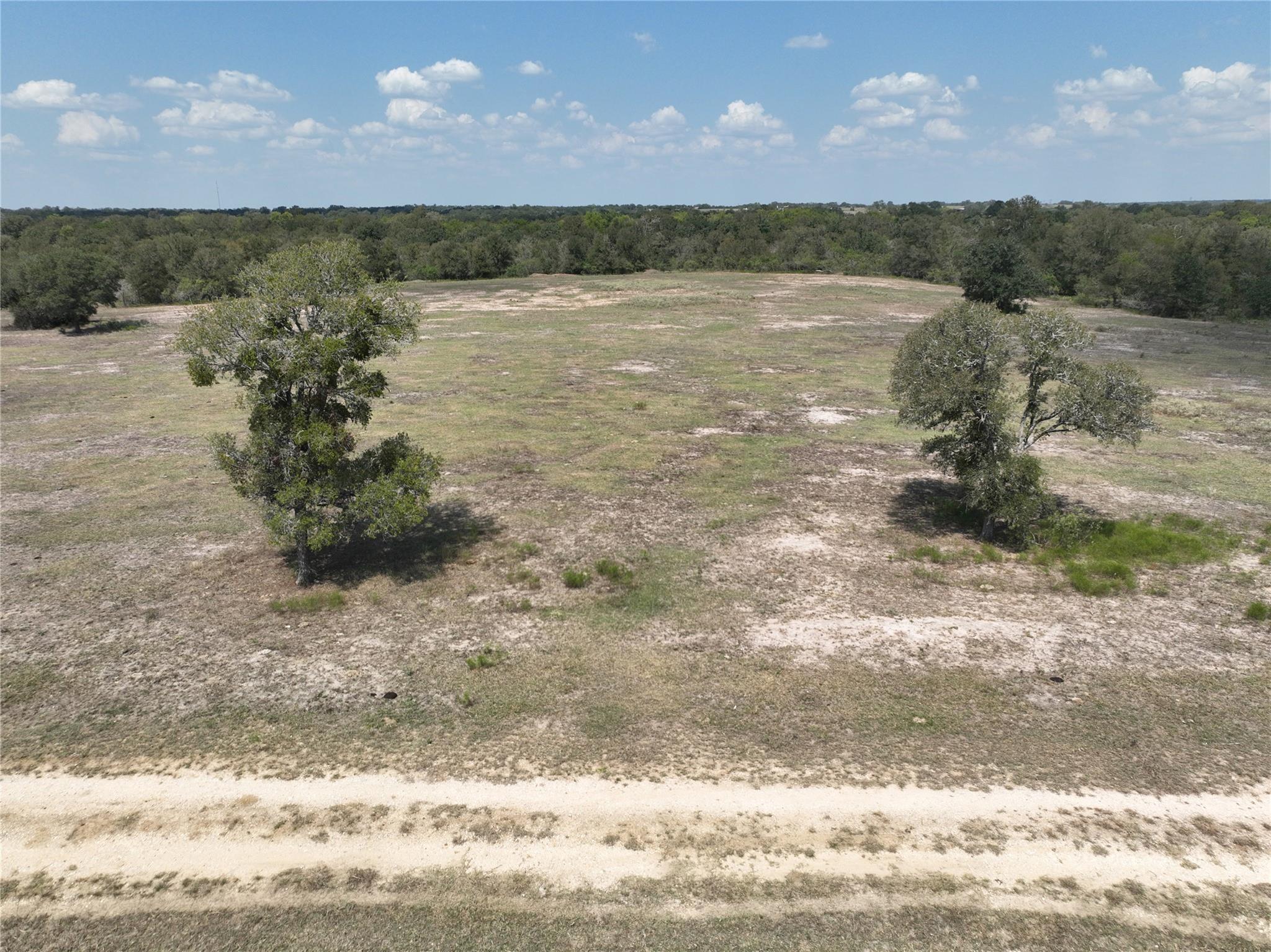 Tbd(+/- 237.91 Ac) Highway 36 S Caldwell TX 77836