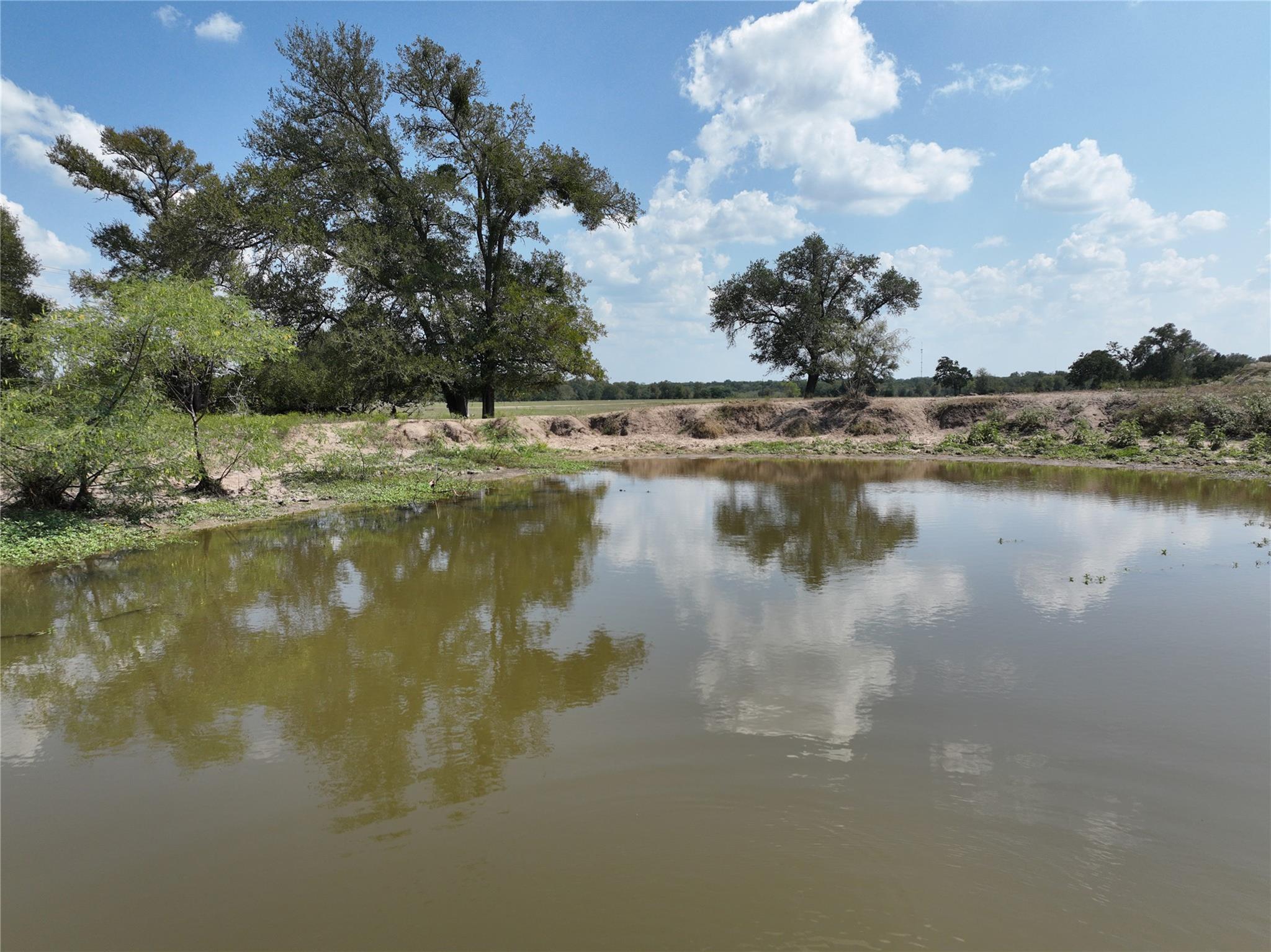 Tbd(+/- 237.91 Ac) Highway 36 S Caldwell TX 77836