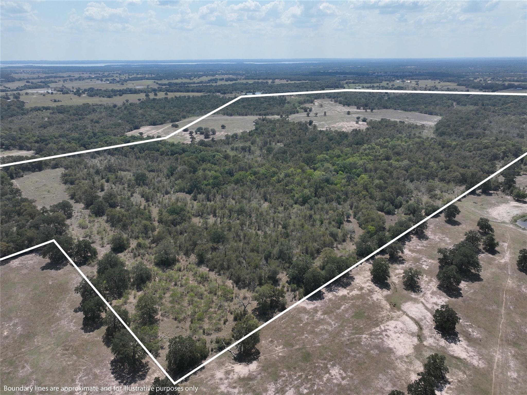 Tbd(+/- 237.91 Ac) Highway 36 S Caldwell TX 77836