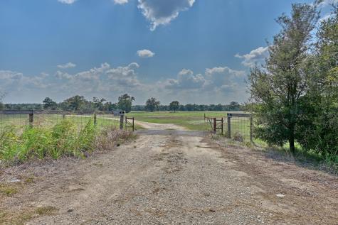 Tbd(+/- 237.91 Ac) Highway 36 S Caldwell TX 77836