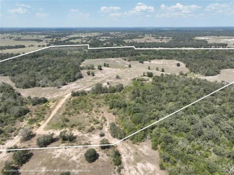 Tbd(+/- 237.91 Ac) Highway 36 S Caldwell TX 77836