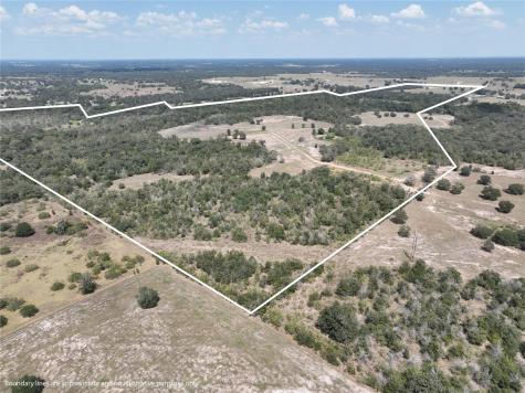 Tbd(+/- 237.91 Ac) Highway 36 S Caldwell TX 77836