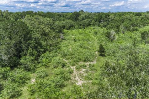 Tbd(+/- 237.91 Ac) Hwy 36 S Caldwell TX 77836