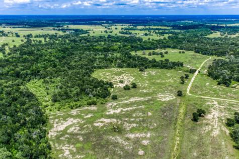 Tbd(+/- 237.91 Ac) Hwy 36 S Caldwell TX 77836