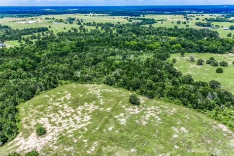 Tbd(+/- 237.91 Ac) Hwy 36 S Caldwell TX 77836
