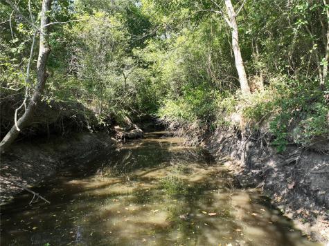 Tbd(+/- 237.91 Ac) Highway 36 S Caldwell TX 77836