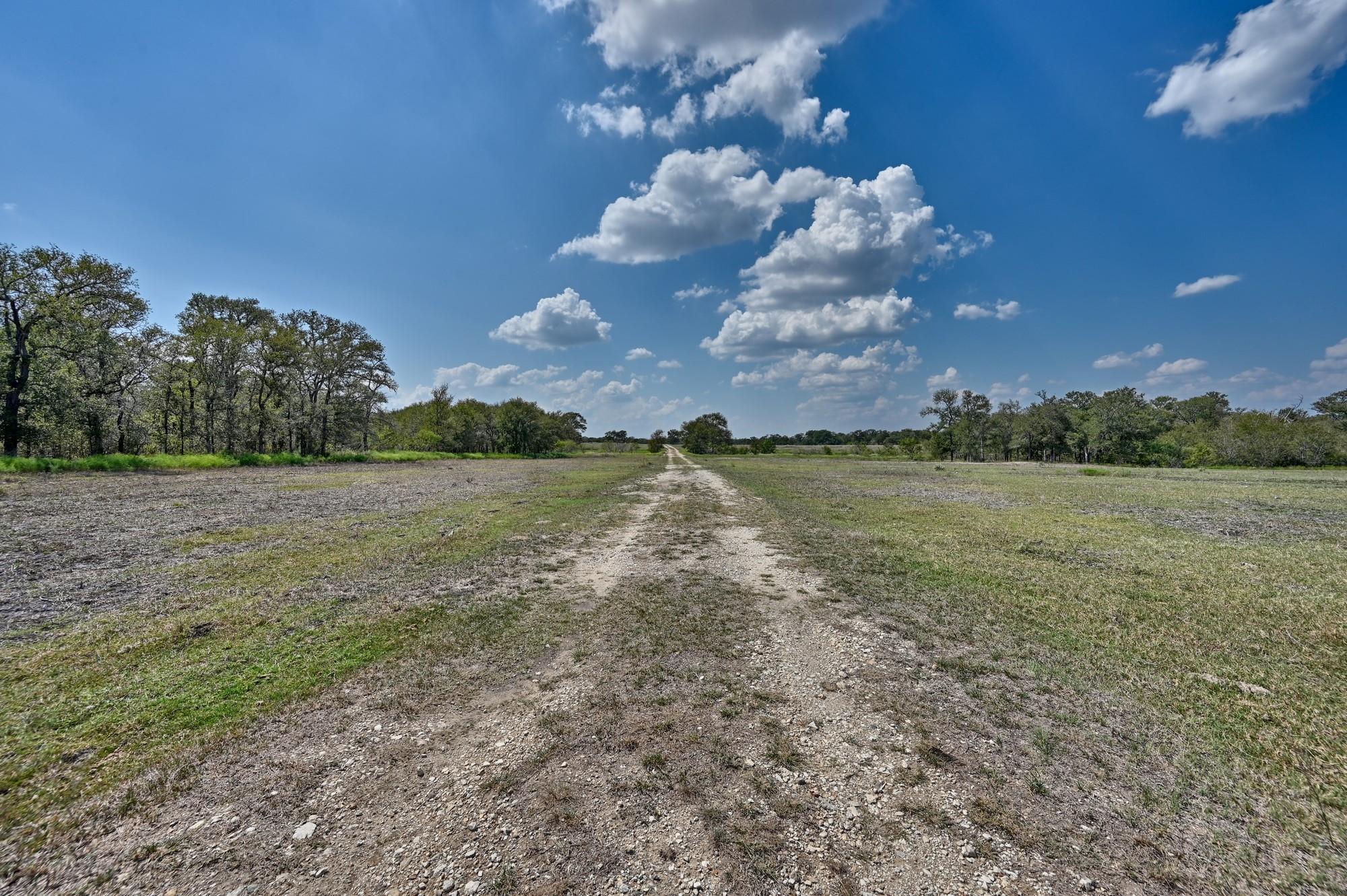 Tbd(+/- 237.91 Ac) Highway 36 S Caldwell TX 77836