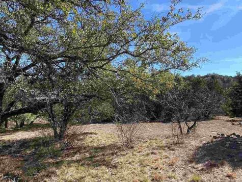 K13105 Buntline Special Horseshoe Bay TX 78657
