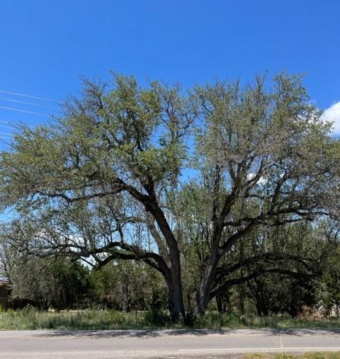20703 High Drive Lago Vista TX 78645