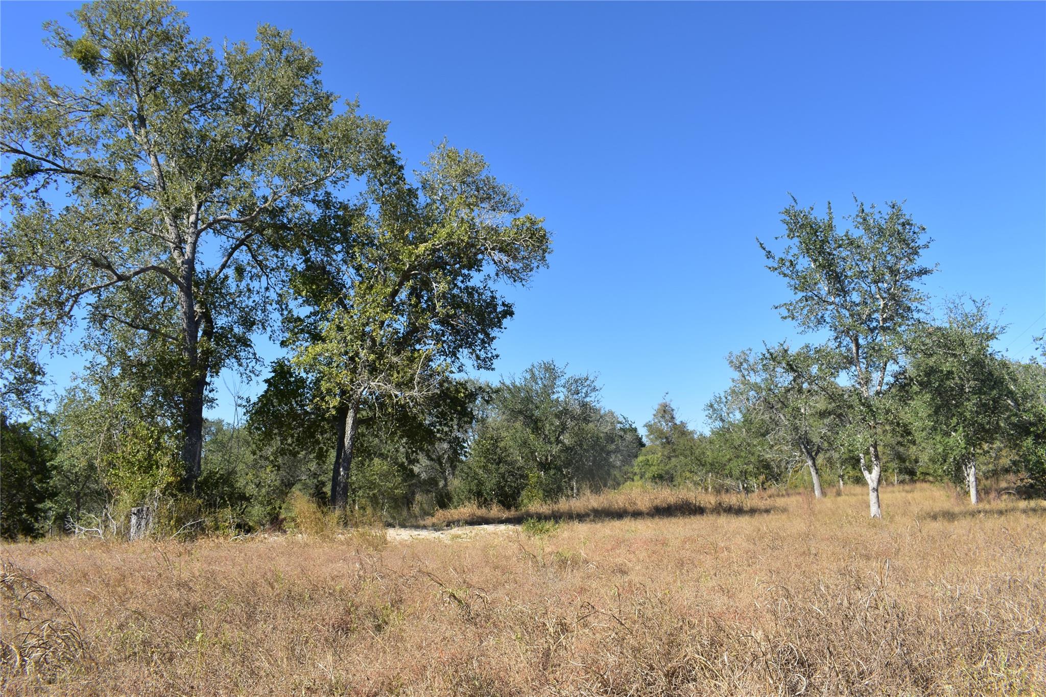 Tbd Cr 481 Gonzales TX 78629