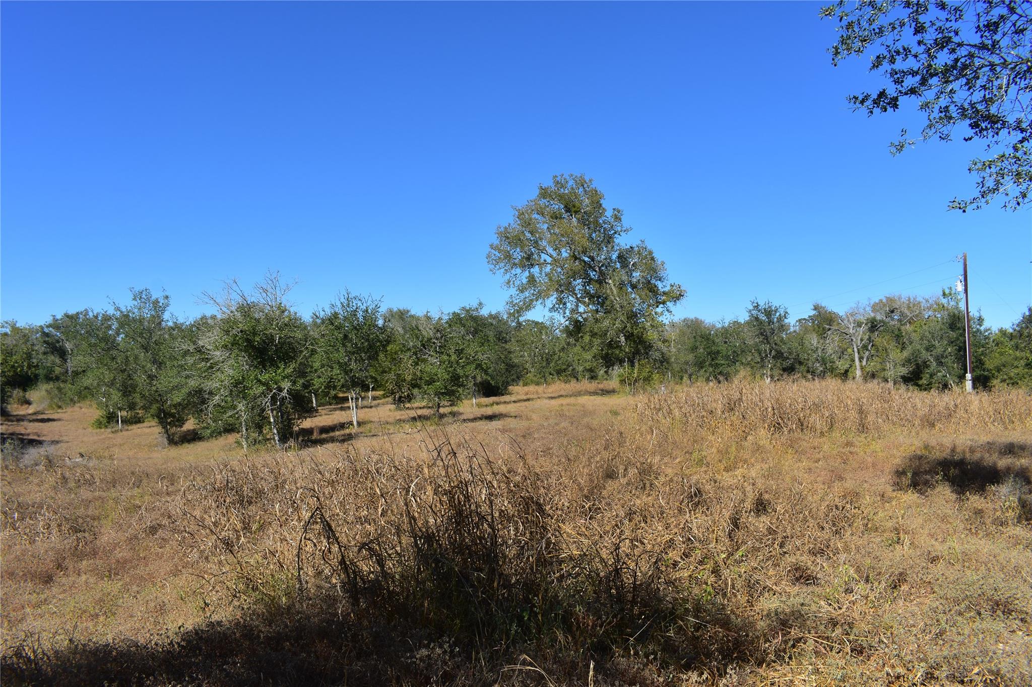 Tbd Cr 481 Gonzales TX 78629