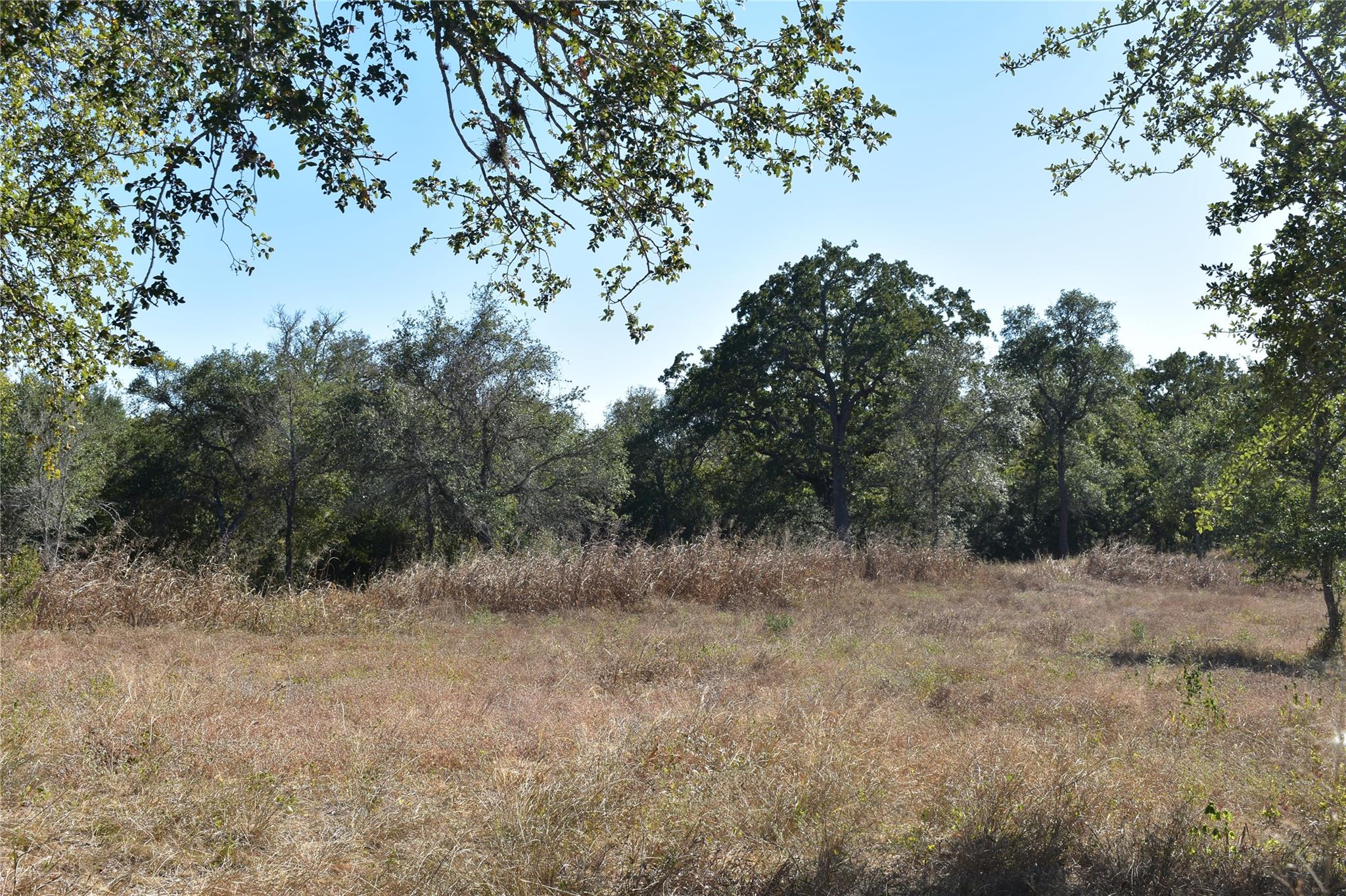 Tbd Cr 481 Gonzales TX 78629