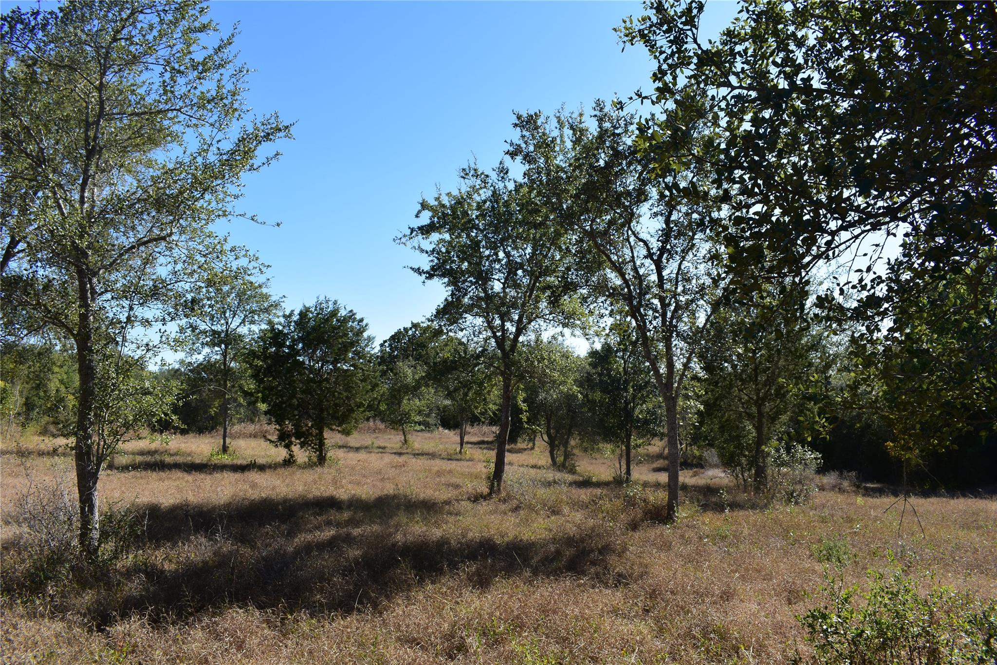 Tbd Cr 481 Gonzales TX 78629