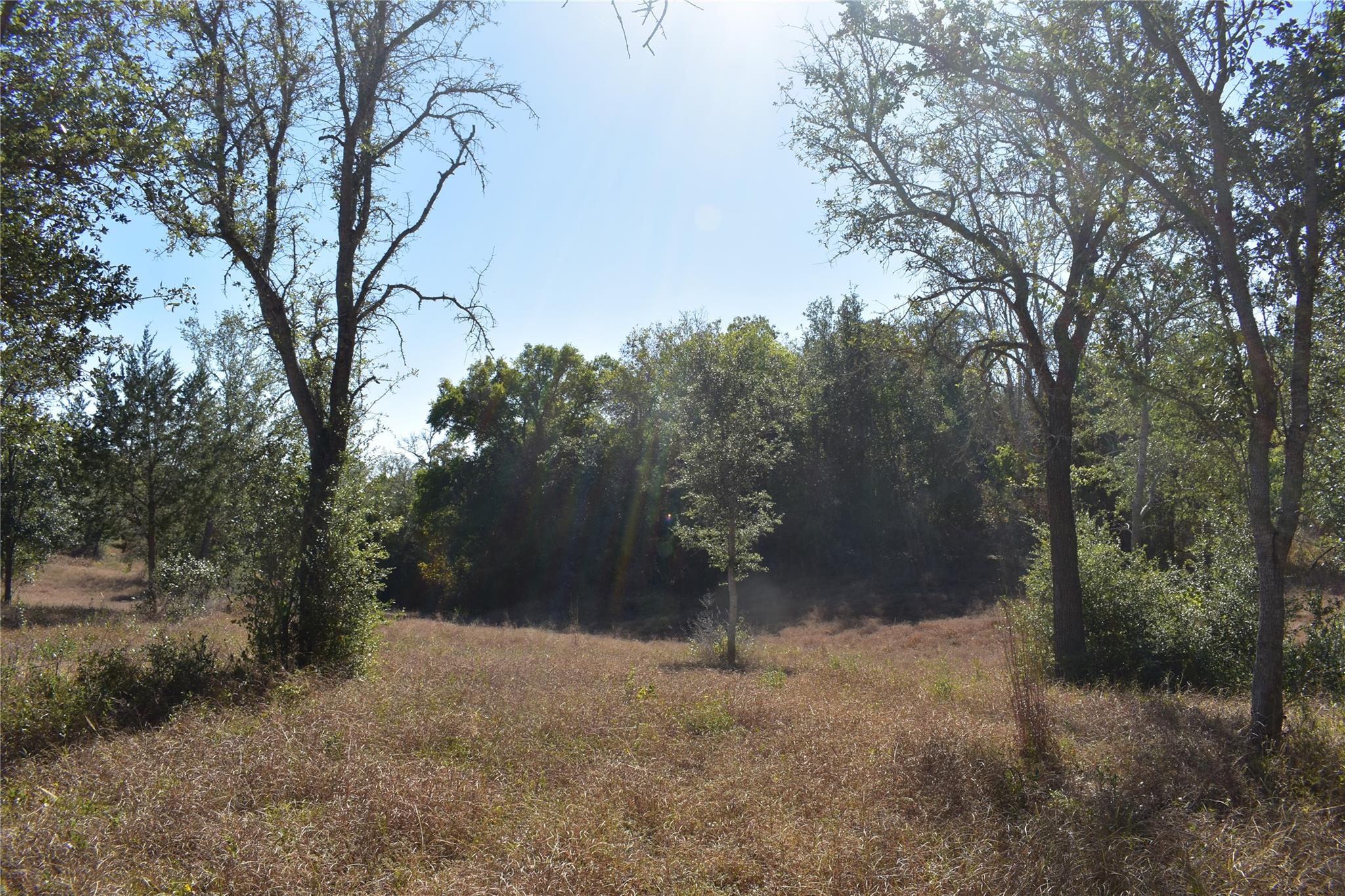 Tbd Cr 481 Gonzales TX 78629