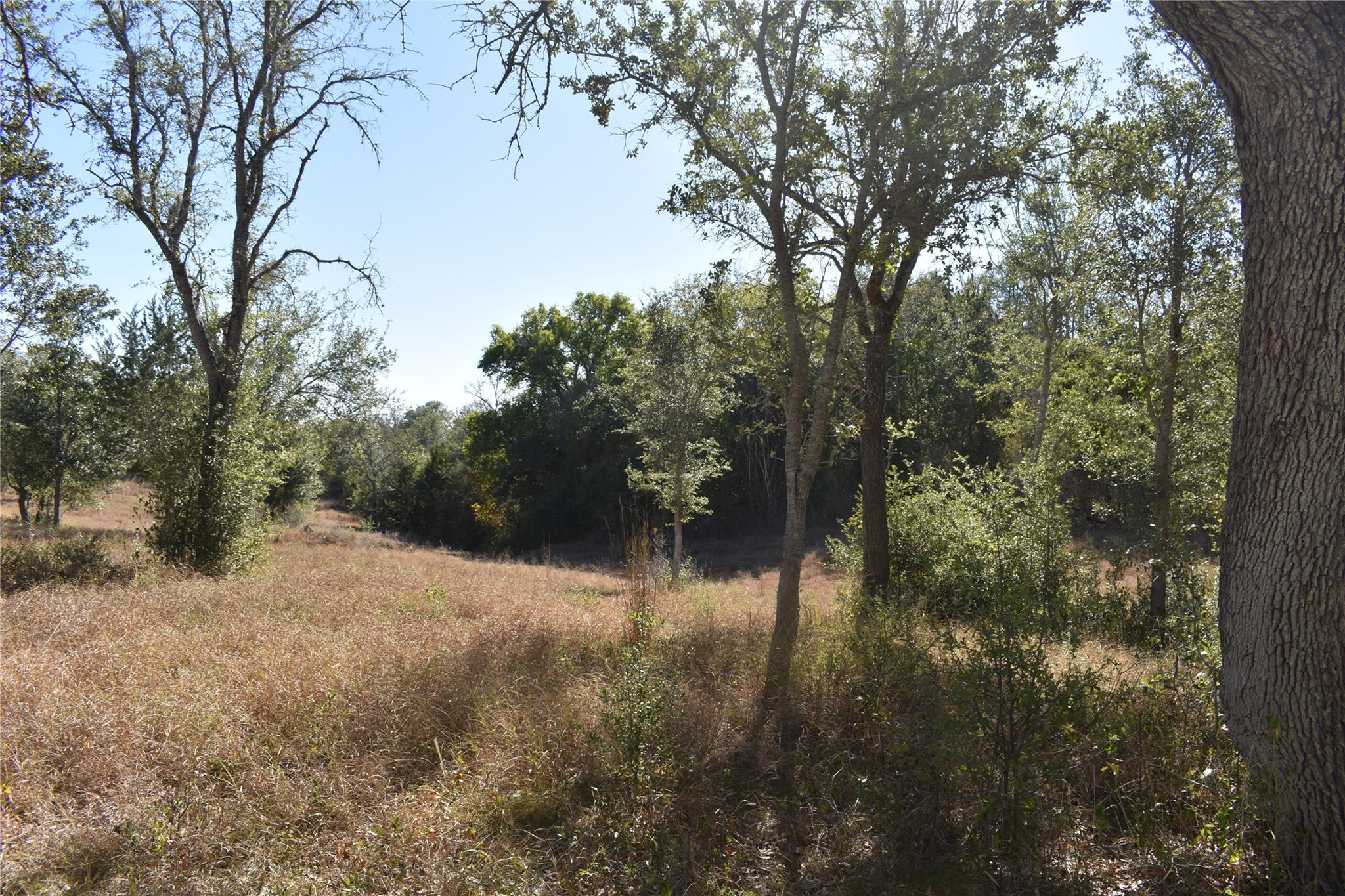 Tbd Cr 481 Gonzales TX 78629