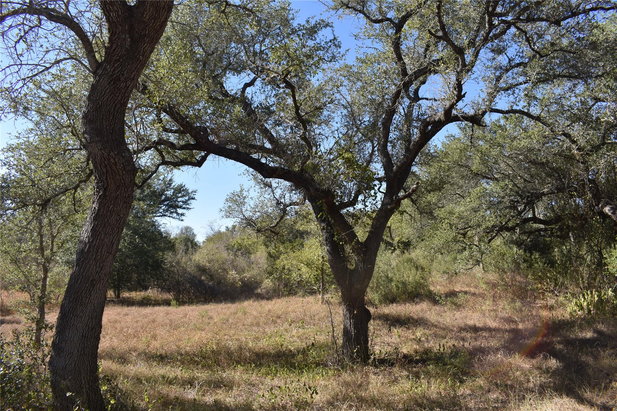 Tbd Cr 481 Gonzales TX 78629