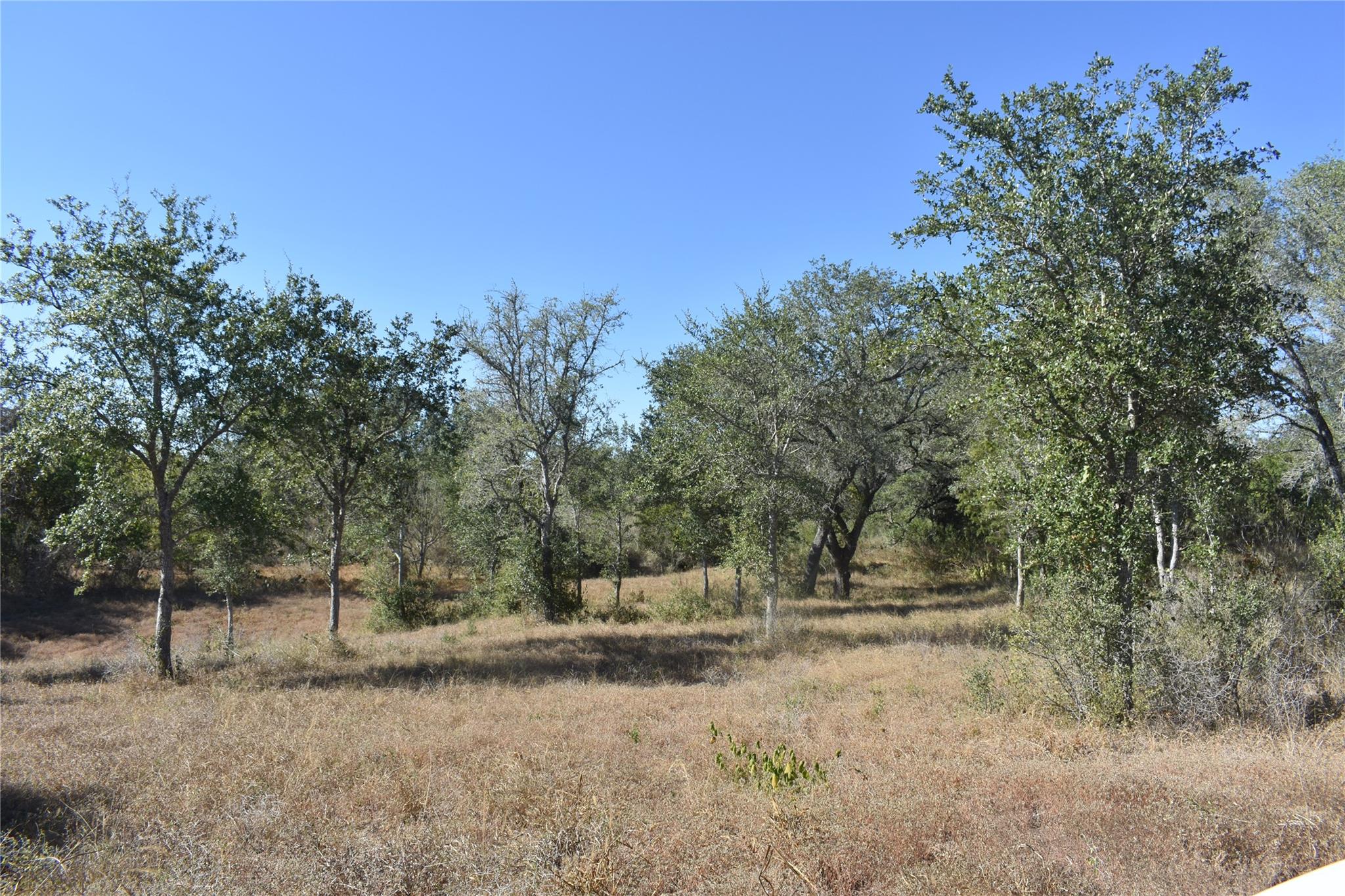 Tbd Cr 481 Gonzales TX 78629