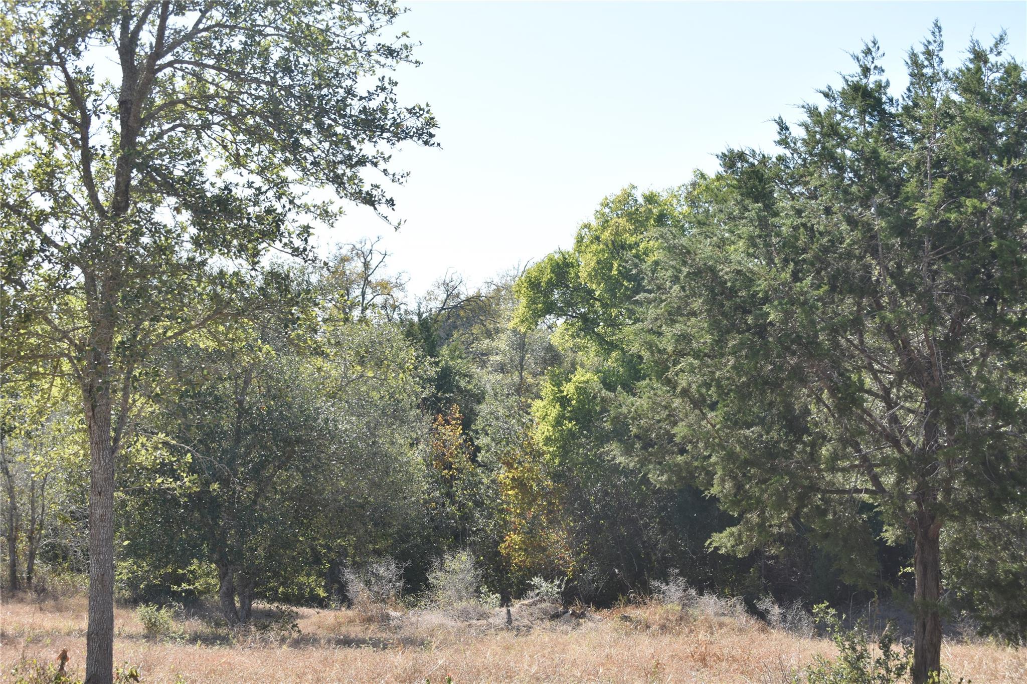 Tbd Cr 481 Gonzales TX 78629