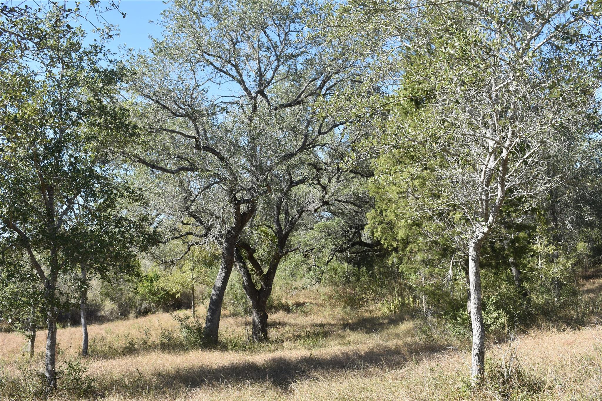 Tbd Cr 481 Gonzales TX 78629
