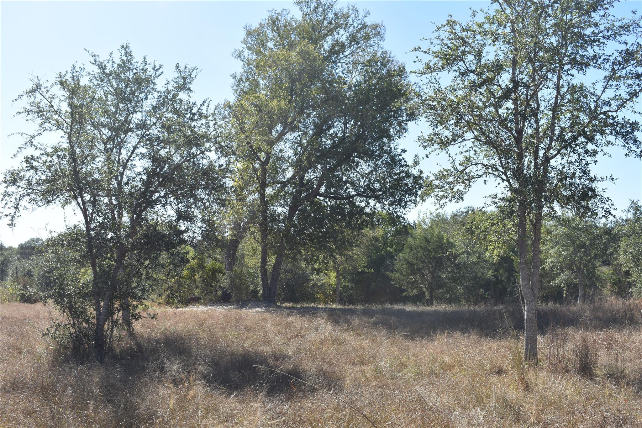 Tbd Cr 481 Gonzales TX 78629