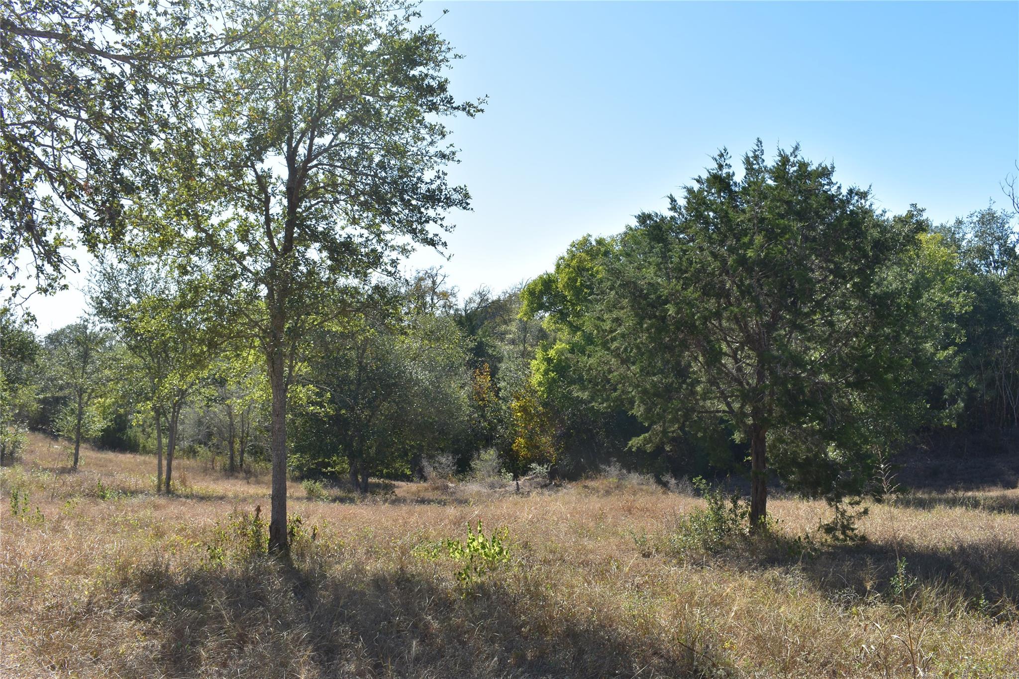 Tbd Cr 481 Gonzales TX 78629