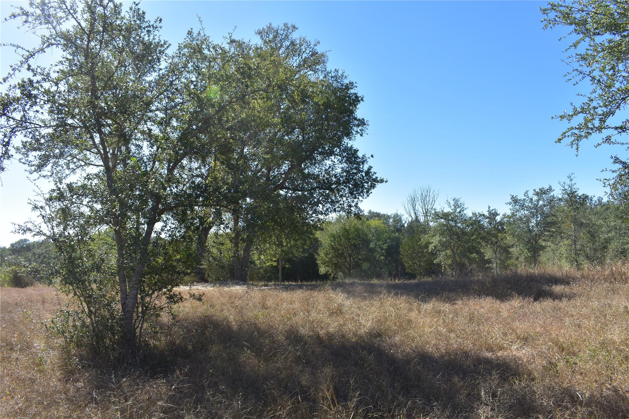 Tbd Cr 481 Gonzales TX 78629