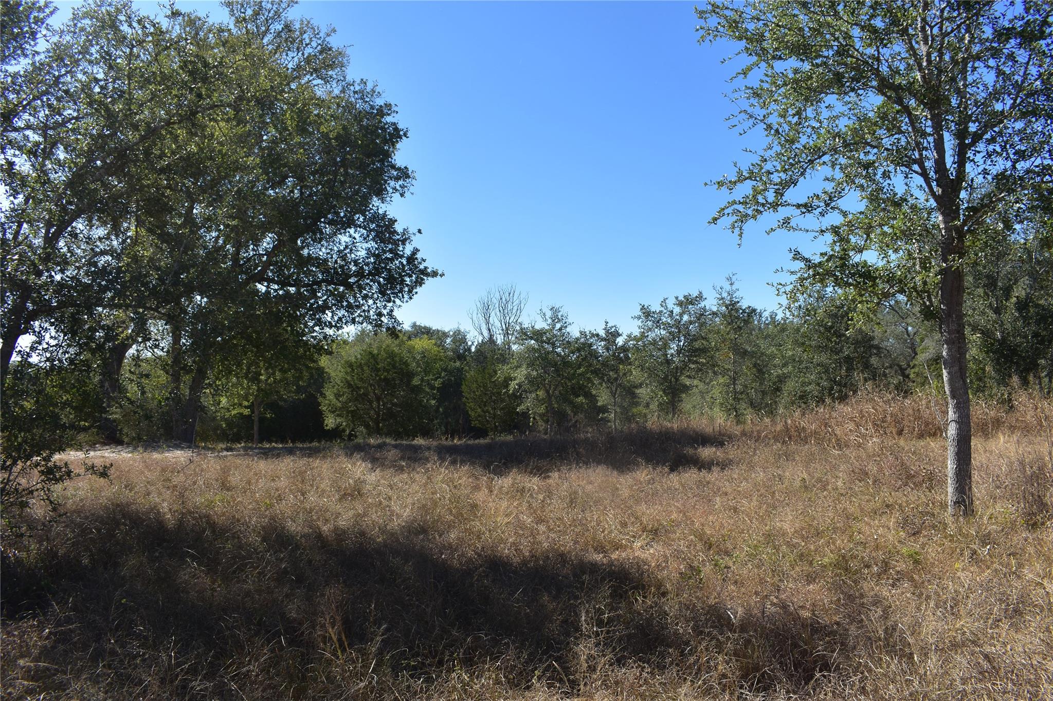 Tbd Cr 481 Gonzales TX 78629