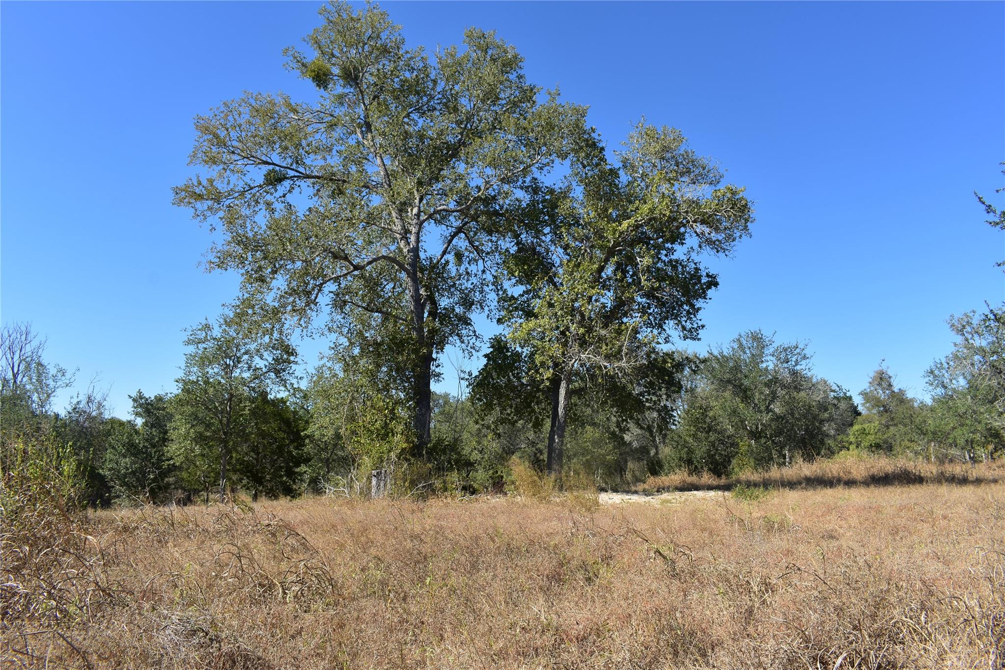 Tbd Cr 481 Gonzales TX 78629