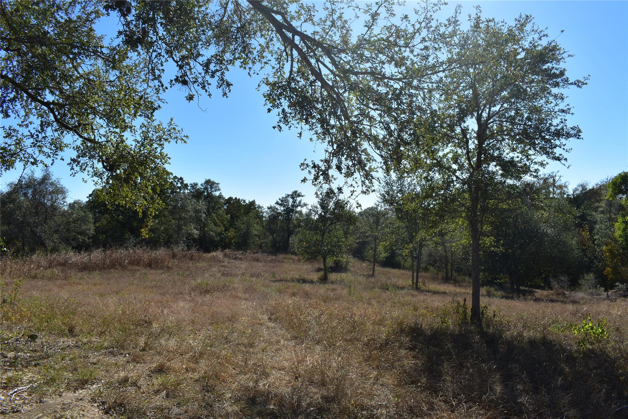 Tbd Cr 481 Gonzales TX 78629
