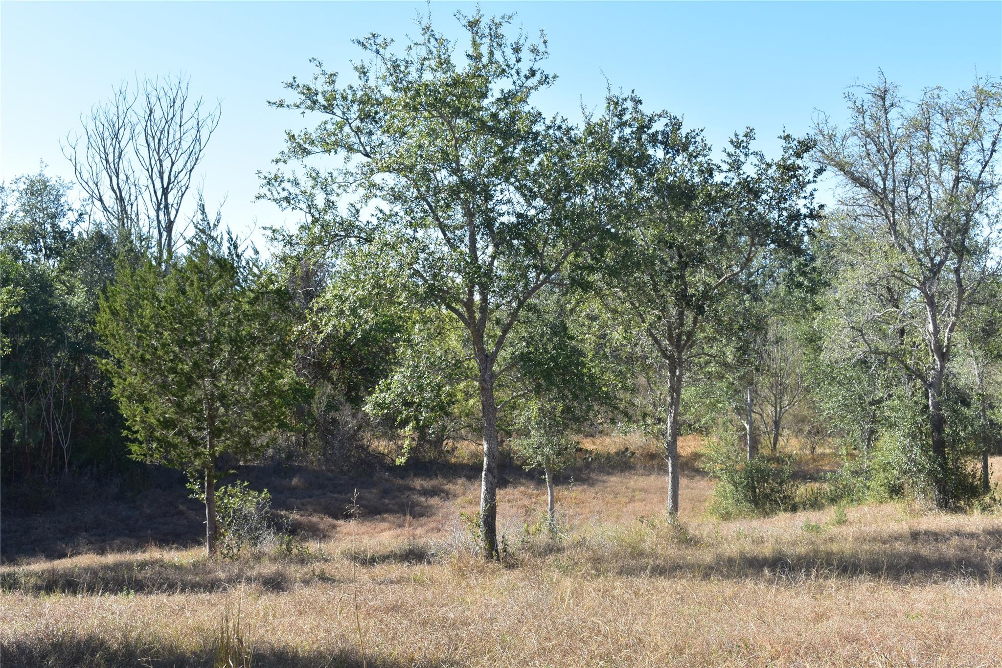 Tbd Cr 481 Gonzales TX 78629