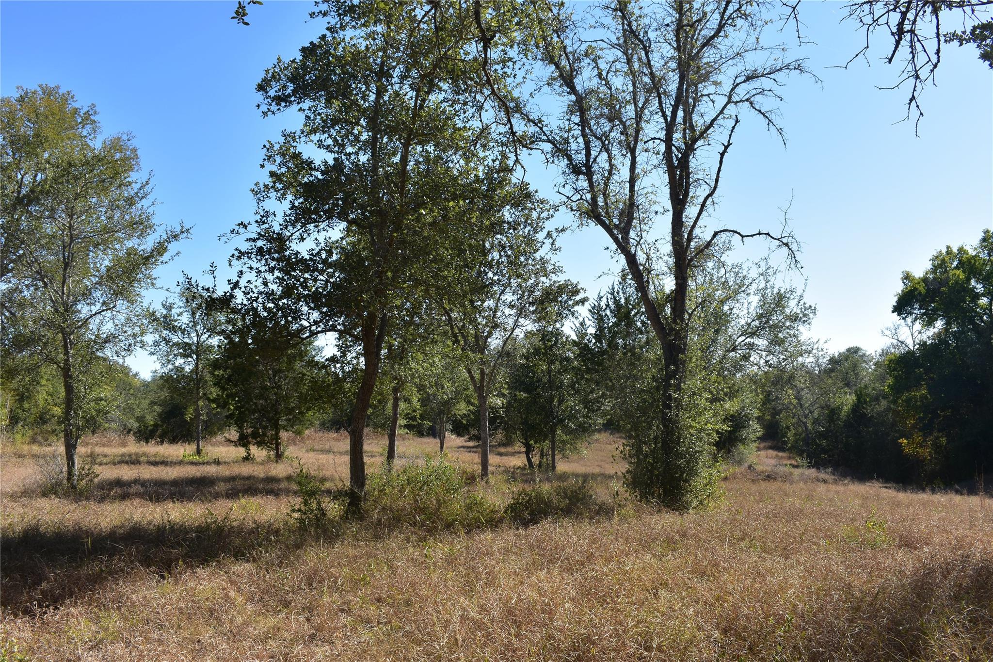 Tbd Cr 481 Gonzales TX 78629