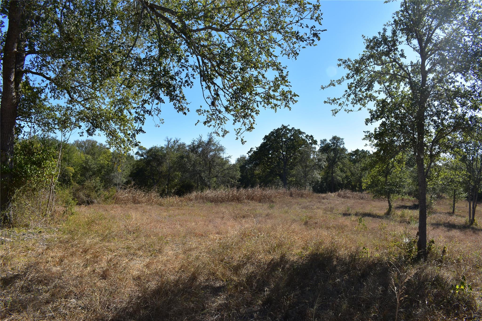 Tbd Cr 481 Gonzales TX 78629