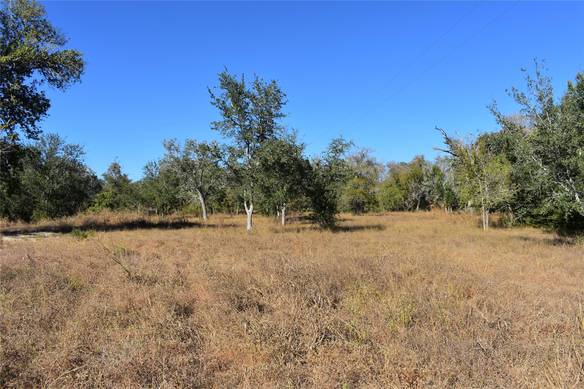 Tbd Cr 481 Gonzales TX 78629