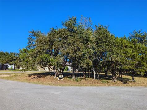 541 Onion Creek Lane Driftwood TX 78619