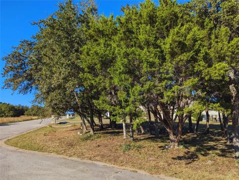 541 Onion Creek Lane Driftwood TX 78619