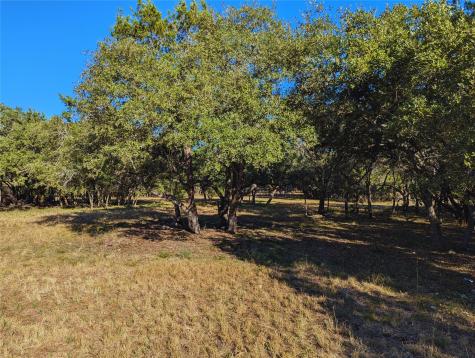 541 Onion Creek Lane Driftwood TX 78619