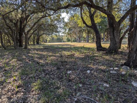 541 Onion Creek Lane Driftwood TX 78619