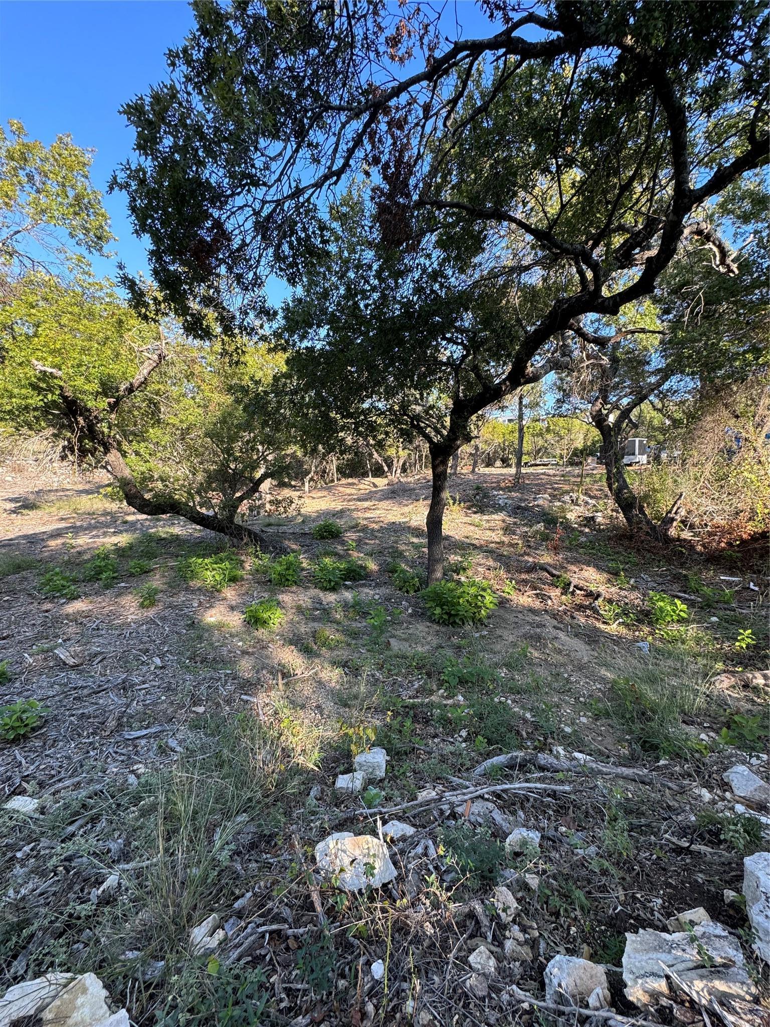 21304 Bronco Cove Lago Vista TX 78645