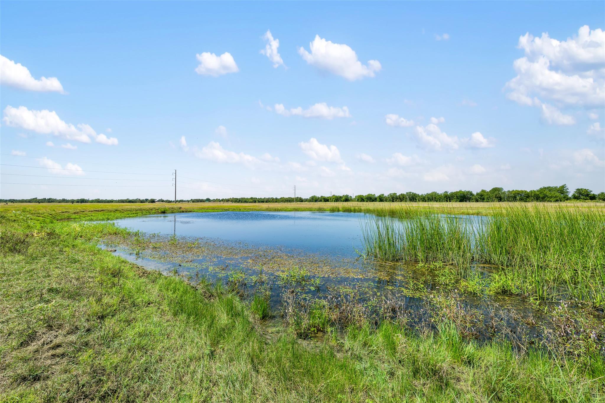 000 Littig Road Littig Road Elgin TX 78621