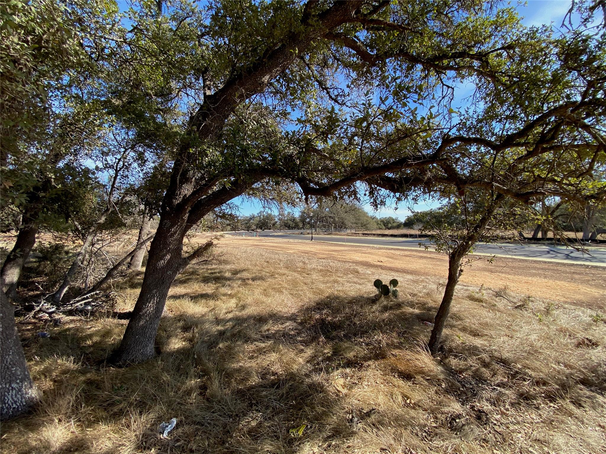101 Fayt Court Georgetown TX 78628