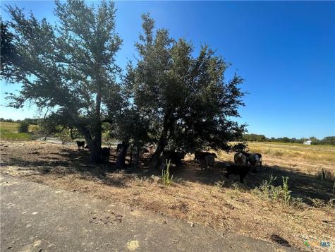 Tbd Waggener Ranch Road Copperas Cove TX 76522
